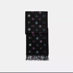 Coach multicolor muffler scarf
